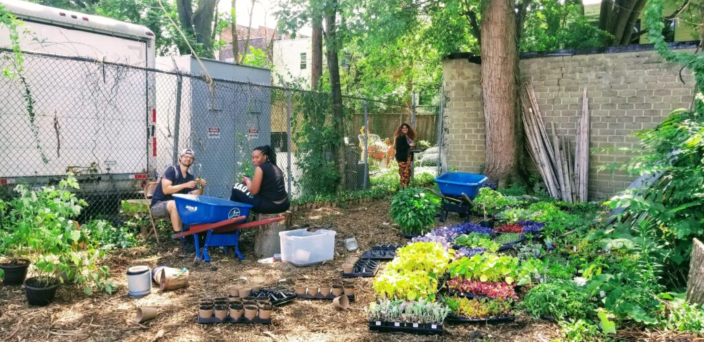 Eden’s Rose Foundation – Code of Ethics